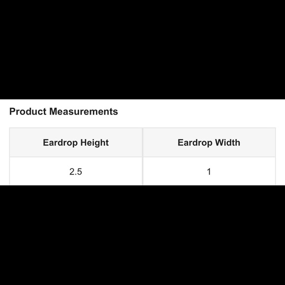 EARRINGS NWOT - Picture 4 of 5